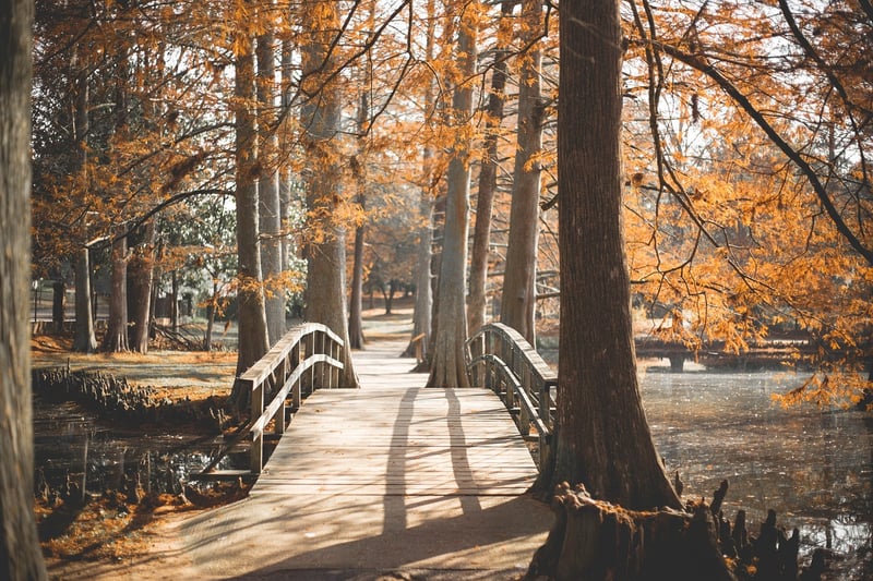 Secret Garden Walks