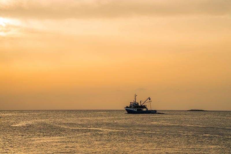 Sea Sunset